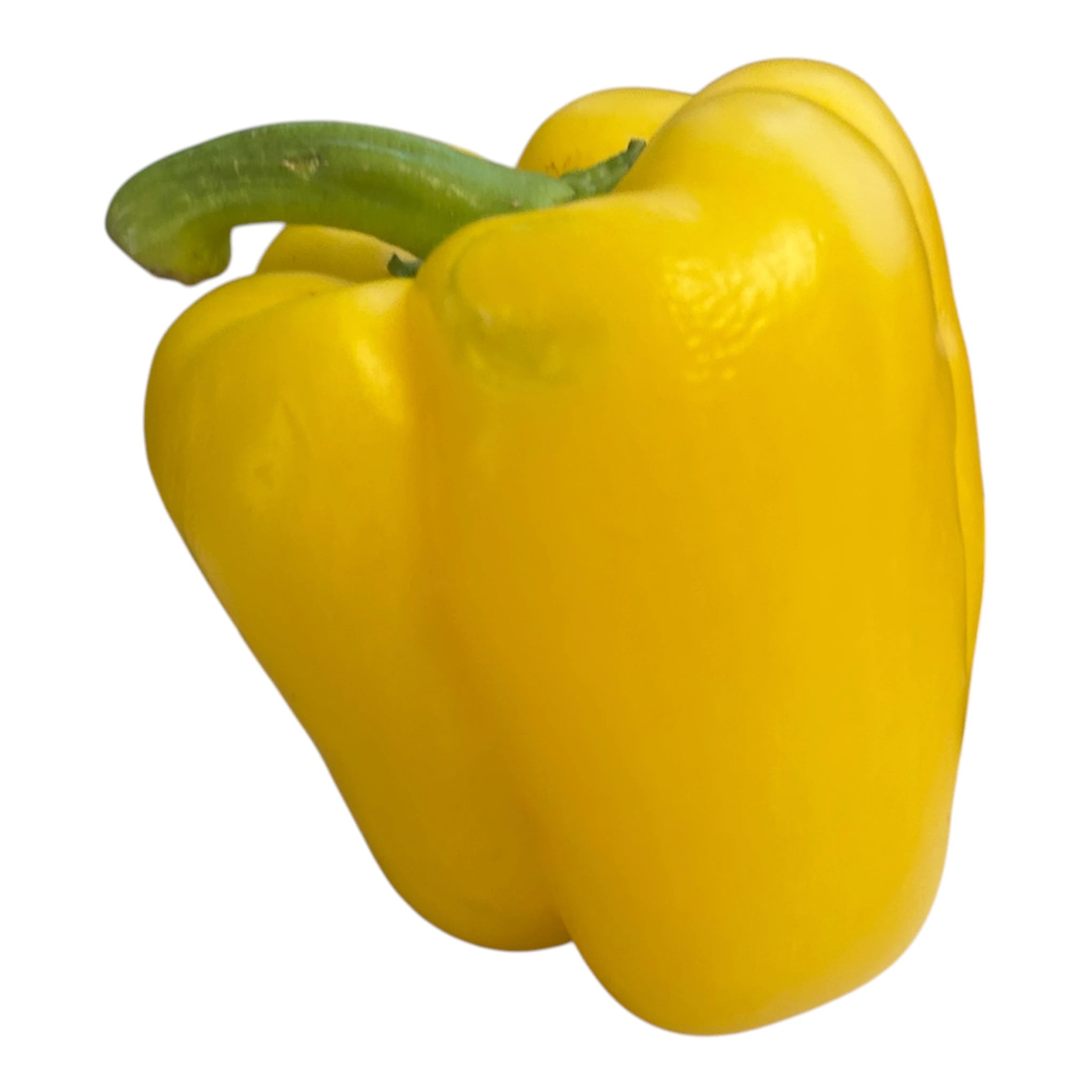 Paprika Bio - Biohof Lebenbauer