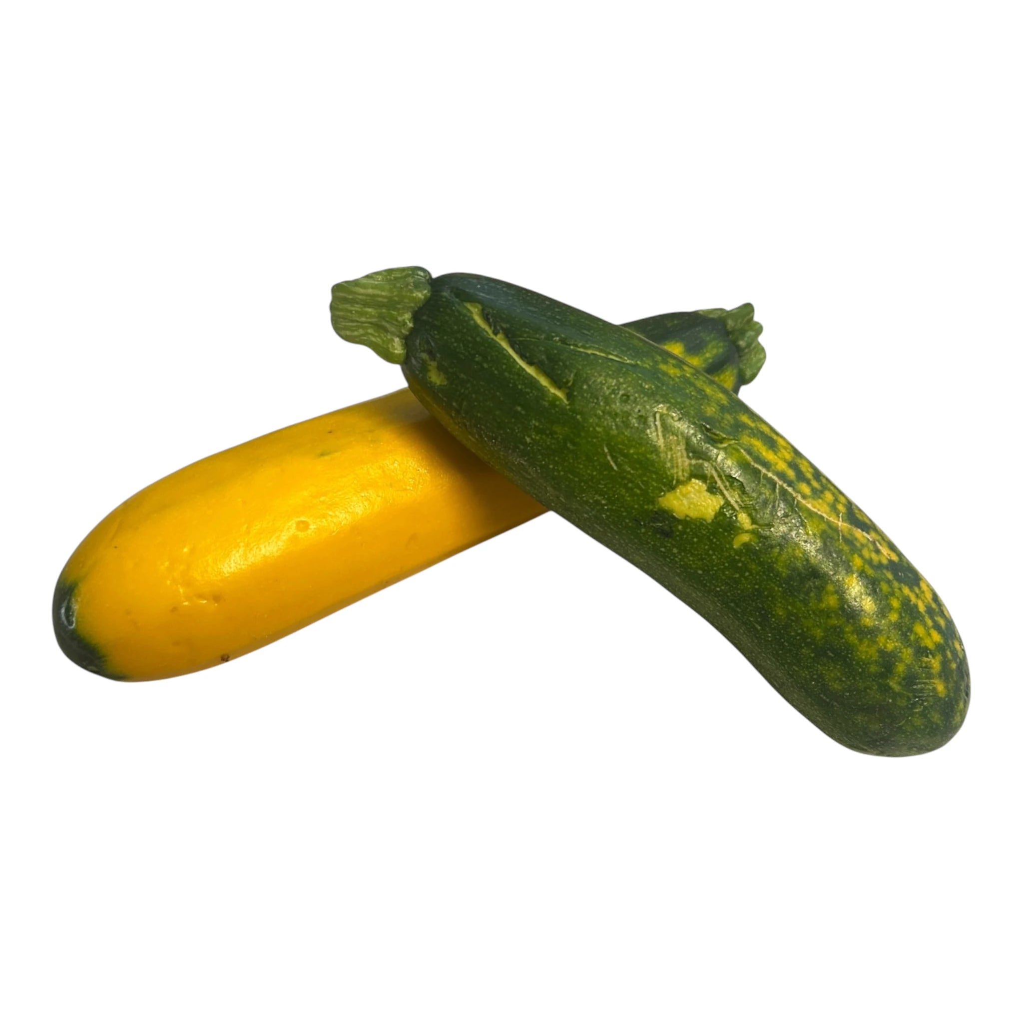 Zucchini Bio – Lebenbauer Josef